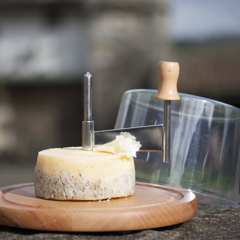 Other cheese options for the Girolle cheese shaper